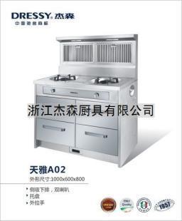 杰森天雅A02集成灶 高性价比之选与厂家直供渠道探索